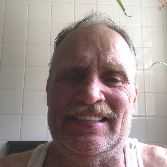 Meet your Posher, Archie - Picture 1 of 1